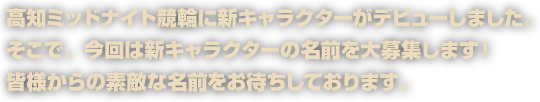 皆様からの素敵な名前をお待ちしております